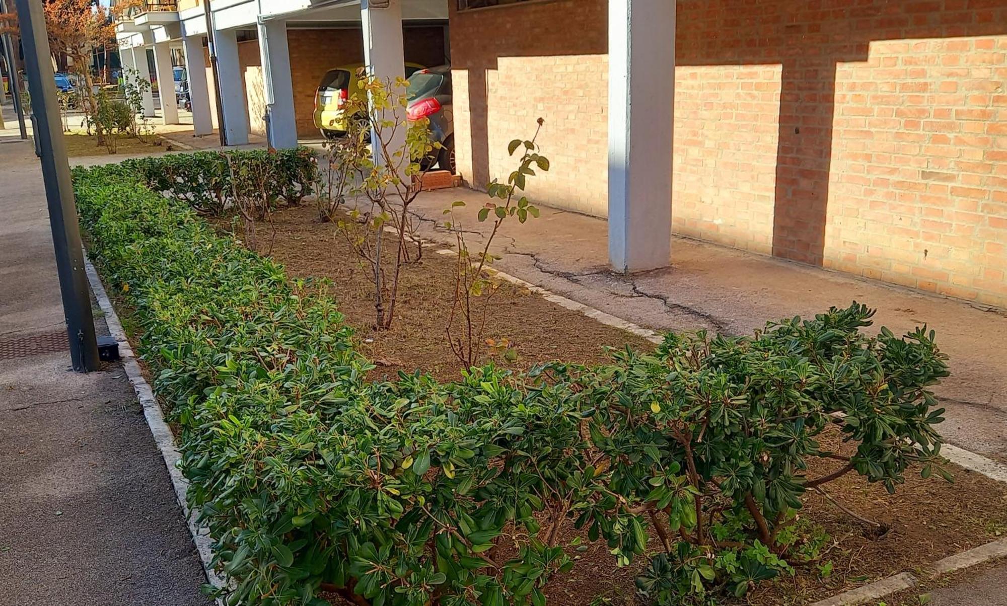 Apartamento La Casa Di Barbanella Grosseto Exterior foto